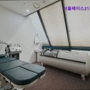 서울페이스21치과의원 네이버블로그