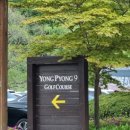 용평리조트 대중골프장 이미지