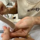 조미네일