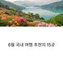 남면한우마을 | 6월 국내 여행, 꼭 가봐야 할 꽃밭 명소와 주변 즐길거리 🔎