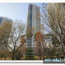 둔산중로-45 이미지