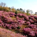 소사청소년수련관6 이미지