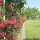 신길근린공원 이미지