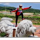 영천체육공원 이미지