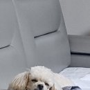 오탁구