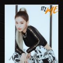 예지 티브이데일리
