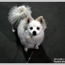 창신세차장 이미지