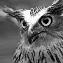 2025 통영문화재 야행 이미지