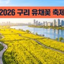 3790 | 구리 유채꽃축제 주차장 2026, 3790면 완벽 공략법 총정리