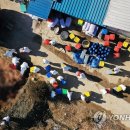 이영재농장 이미지