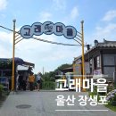 고래국수 | 울산 가볼만한곳 장생포 고래문화마을 다녀온 후기
