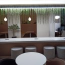 삼선초등학교 | 트로피티 아일랜드 한성대점 메뉴 많이 먹어본 후기 메뉴판 가격