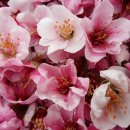 용훈농장 이미지