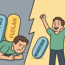 소타터셉트 소식 입니다. 이미지