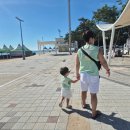 페리카나치킨용화점 | 여름휴가 1일차는 삼척으로