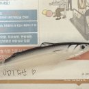 유디티수산 - 청주시 청원구 사뜸로67번길 28 | 유디티수산