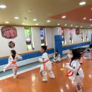 사형제 최강튼튼태권도장 이미지