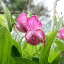 복주머니마을 이미지