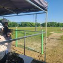 행정용 16 이미지