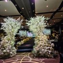 노보텔앰배서더수원 | 노보텔 앰배서더 수원 결혼식장 후기｜하객 입장에서 만족도 높았던 웨딩홀