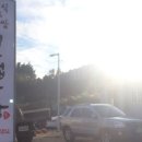 반려반상 이미지