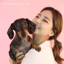 도니바니 이미지