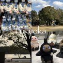 조선뽑기방 | 부산에서 후쿠오카 2박3일 여행 총정리 : 감성 피크닉 맛집 솔직후기