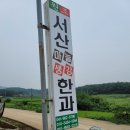 서산이조한과