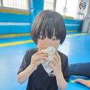 용인대비룡태권도장 이미지