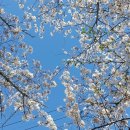 행복만족 - 제주시 | 행복만족
