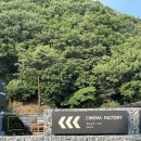 양산신-7001 | [경남 양산 영화관] 치킨 먹으며 영화 볼 수 있는 곳이 있다?, 영화공장 208호 내돈내산 솔직후기