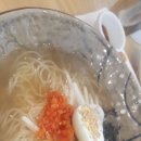 국수나무? 이미지