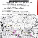 영천(포항) 이미지