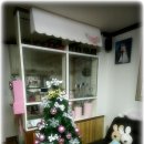 핑크트리 이미지