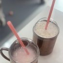 토탄이네 애견유치원&호텔링,애견미용,카페 | [하남, 미사] 청결하고 깔끔했던 애견카페, 캔디독!