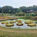 함양교통정류장 이미지