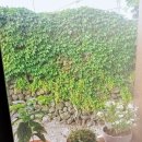 요호르기스테이 이미지