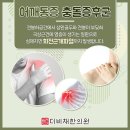 더비채 이미지
