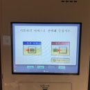 후쿠오카 숙소] 딸이랑 다녀온 프린스 스마트 인 하카타 더블룸 솔직후기 (가성비, 위치, 조식 꿀팁)