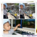 고현세탁소 이미지