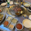 THE S.TEI 이미지