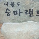 나불도 승마랜드 이미지