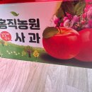 죽계 | [영주 여행]영주 시티버스투어-부석사, 소수서원, 죽계구곡, 풍기인삼축제장(내돈내산)