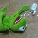 여주-0323 | [25] 주간일기 0317-0323