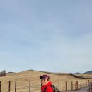 닭섬목장 Daum카페