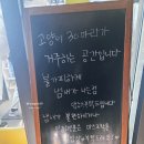 둔유2로 | 양주 아이랑 가볼만한 곳, 고양이카페 아이캣유 방문후기