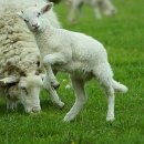 밸런스스토어 이미지