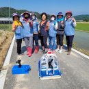 우렁각시 이미지