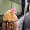 행운동-41 네이버블로그