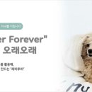 연일테크주 이미지